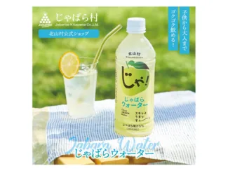 北山村公式 じゃばらウォーター 510ml×24本